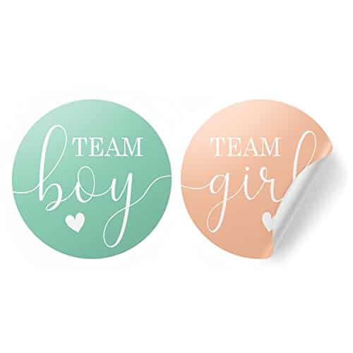 Gender Reveal Party   Team Boy or Team Girl Stickers   Count (Mint and Peach)
