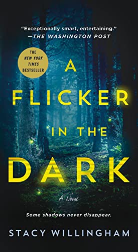 A Flicker in the Dark A Novel